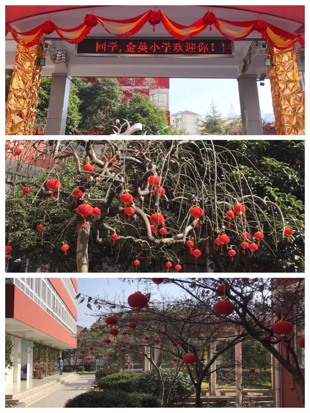 微信图片_20180303194709.jpg