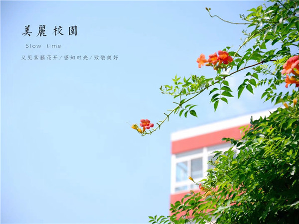 微信图片_20200910204012.jpg
